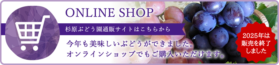 オンラインショップはこちら